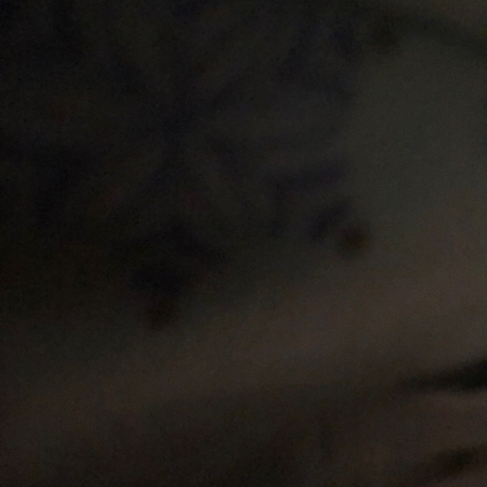 Meet your Posher, Yasmin